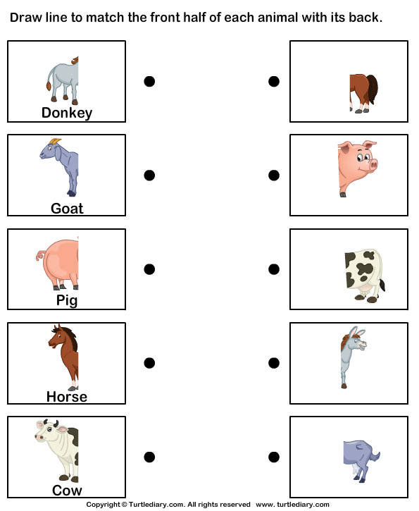 Science Worksheets For Kindergarten Animals