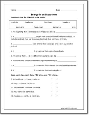 Ecosystem Worksheet 4th Grade