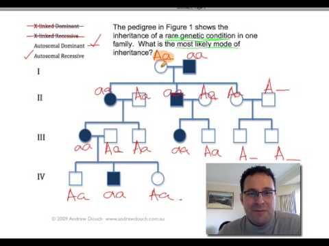 Huntington's Disease Pedigree Worksheet Answers