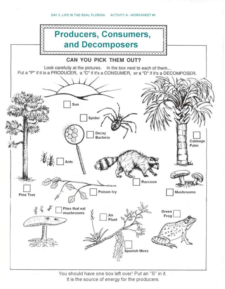 Biology Worksheets For Kids