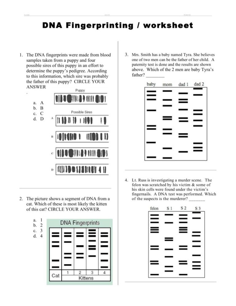 Dna Fingerprinting Questions Worksheet