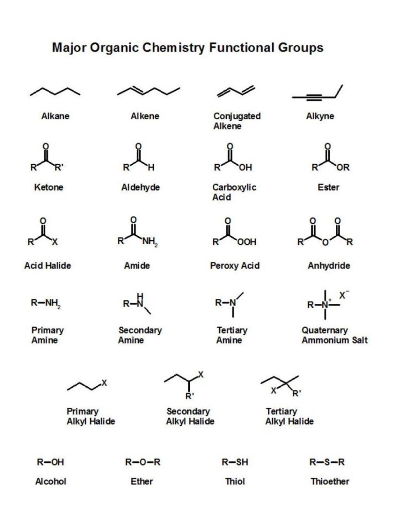 Organic Chemistry Naming Alkanes Worksheet