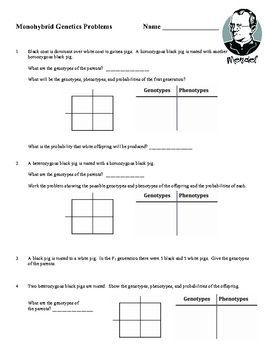 Punnett Square Worksheet Answer Key