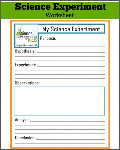 6th Grade Science Worksheets