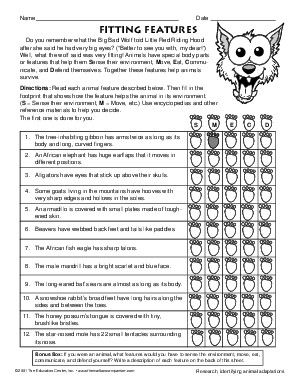 Animal Adaptations Worksheets 3rd Grade