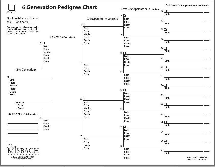 Genealogy Pedigree Charts Worksheet