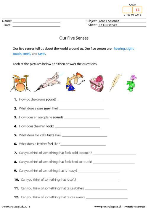 Senses Worksheet For Grade 2