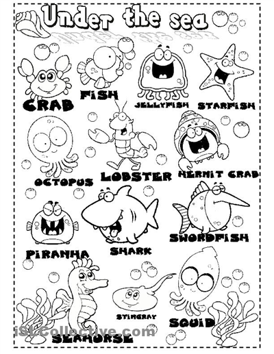 Sea Animals Worksheet For Kids