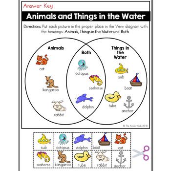 Venn Diagram Worksheet 1st Grade