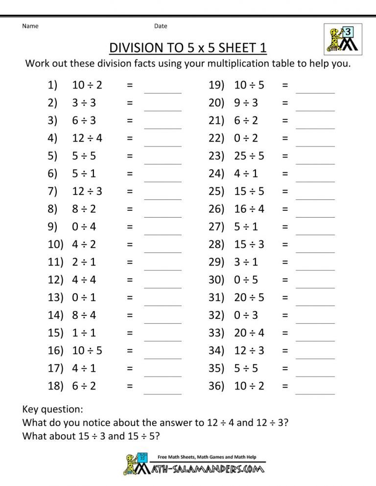 Division Worksheets Grade 3 With Pictures