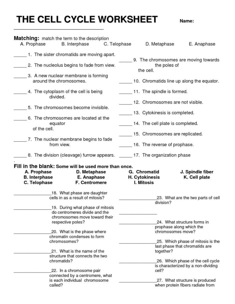 Biology Worksheets