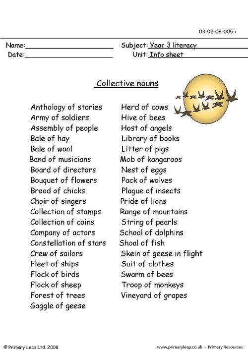 Grade 2 Collective Nouns Worksheet 2nd Grade