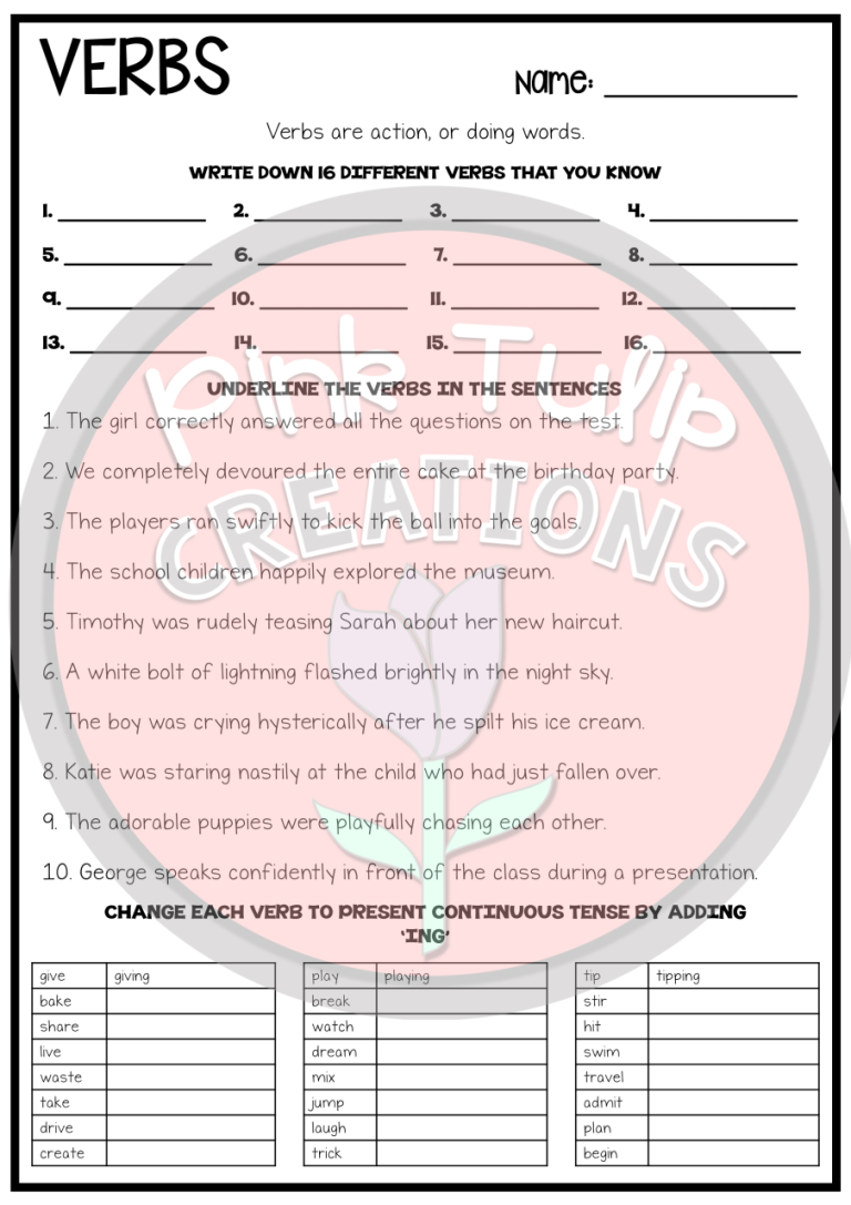 Workbook And Worksheet