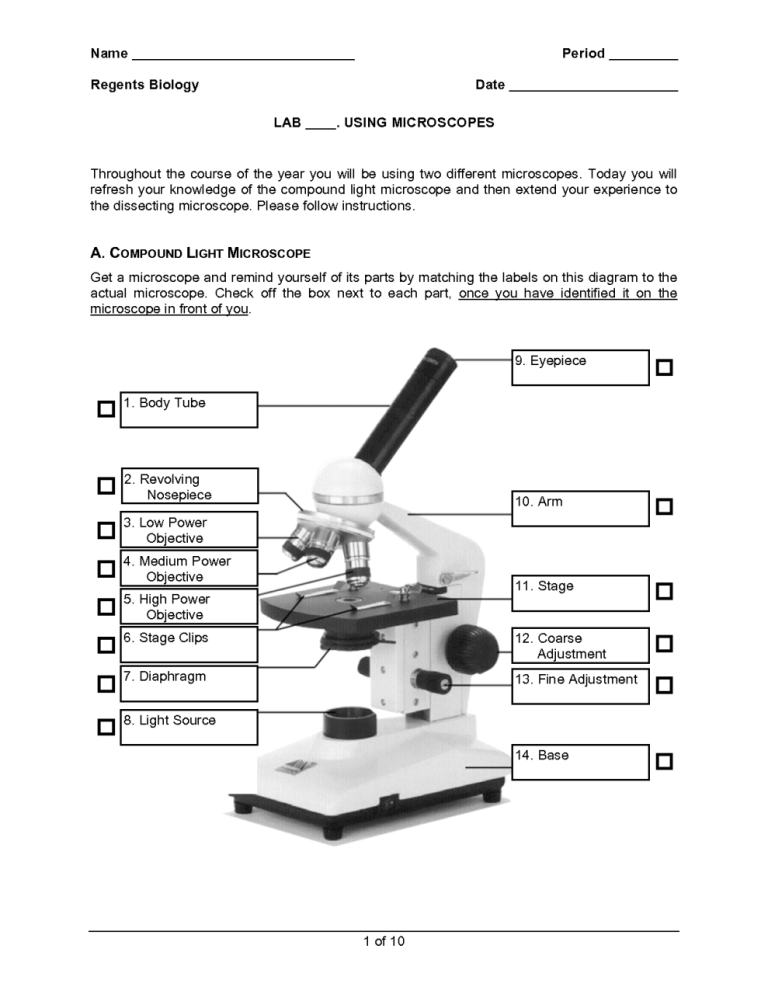 Microscope Worksheet Pdf