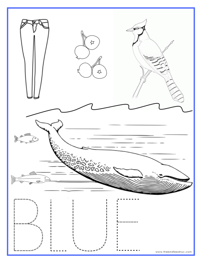 Preschool Coloring Worksheets For Kids