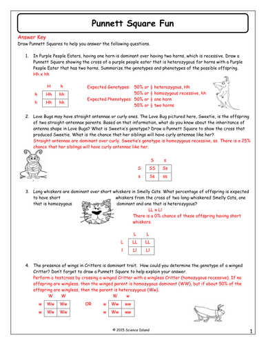 Pedigree Review Worksheet Answer Key