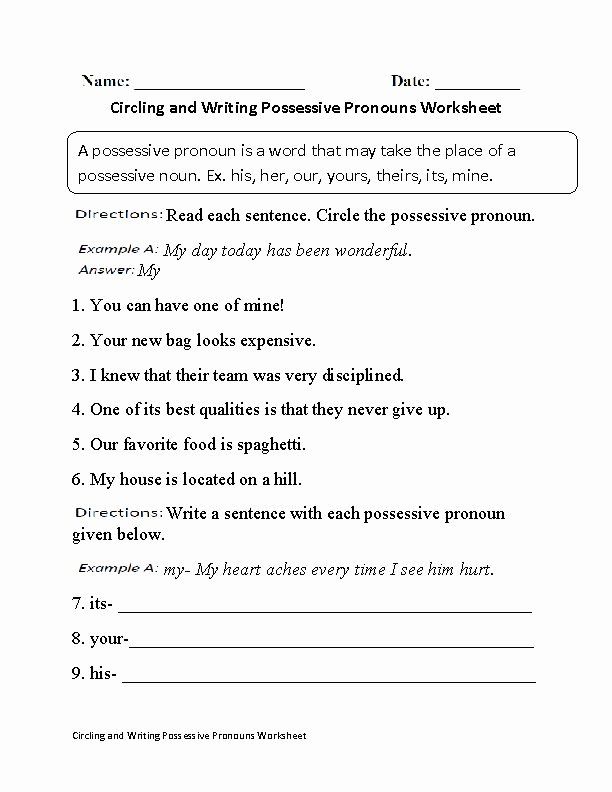 Possessive Adjectives Worksheet Grade 5