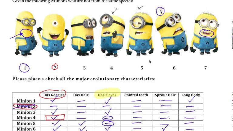 Cladogram Worksheet Answer Key