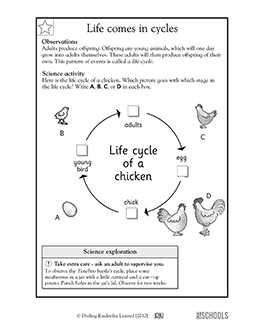 2nd Grade Worksheets Science