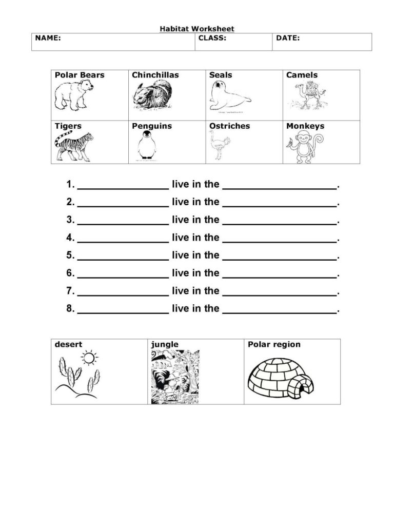 Animals Worksheet Habitat