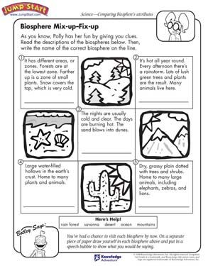 Printable 3rd Grade Science Worksheets