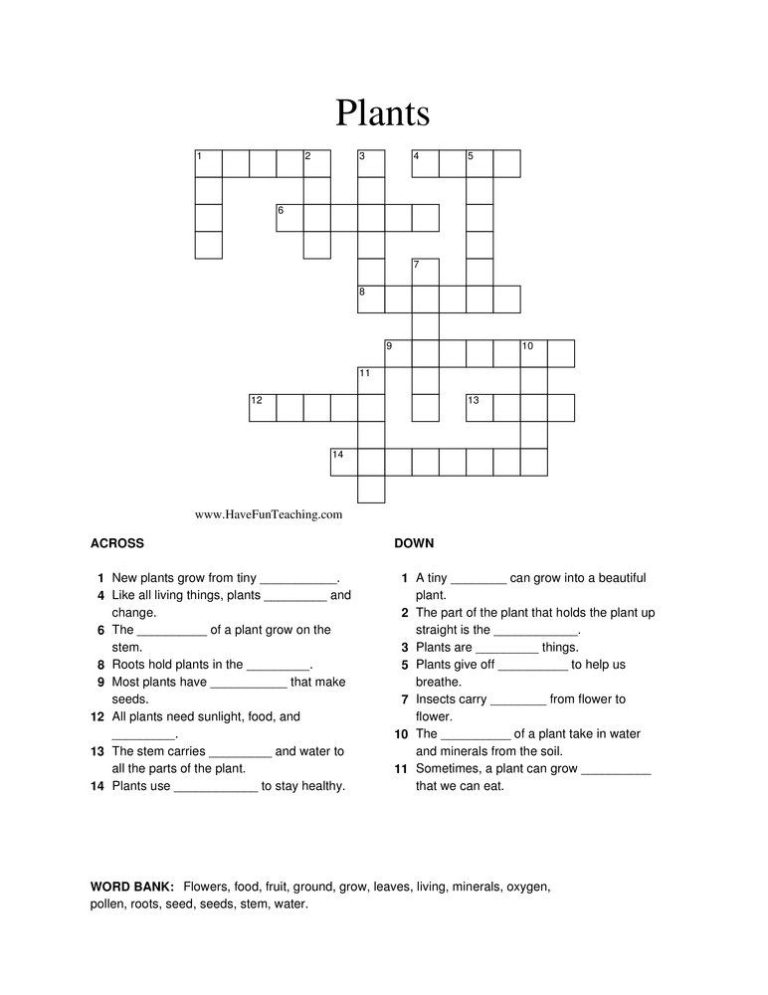 Nutrition In Plants For Class 7 Worksheet With Answers