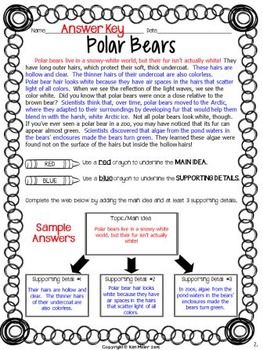 Finding The Main Idea Worksheets With Answers Grade 6