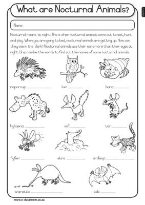 Animals Worksheets For Grade 2