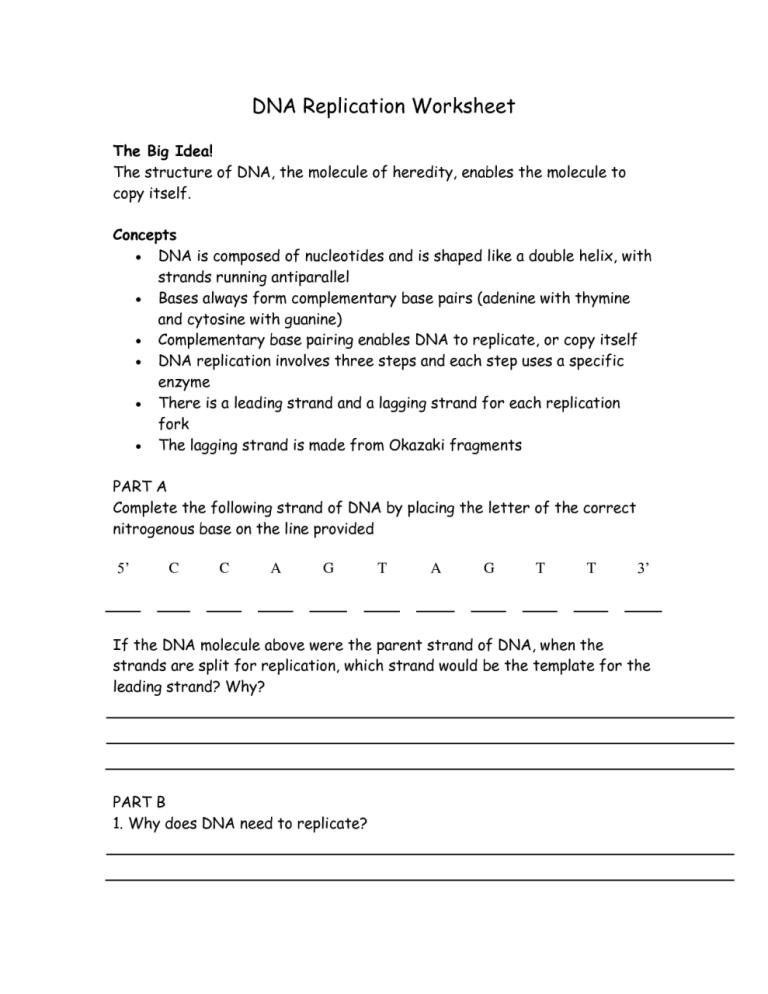 Worksheet On Dna Rna And Protein Synthesis Answer Key