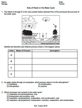 Water Cycle Questions Worksheet Answer Key