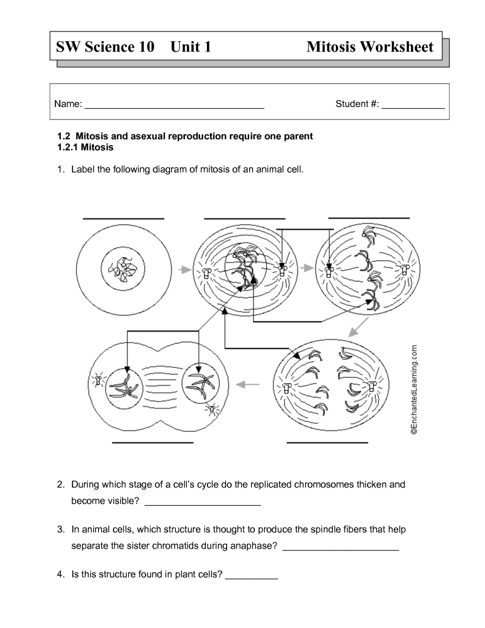 Color By Number Worksheets Easy