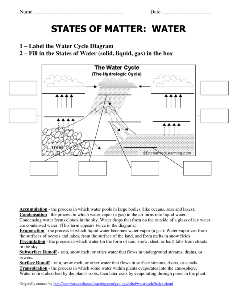 Nitrogen Cycle Worksheet