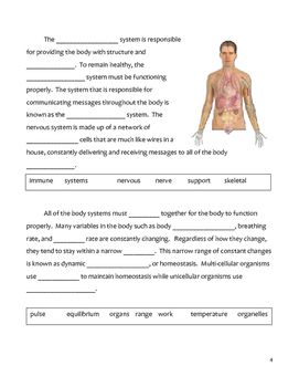 Homeostasis Worksheet Answer Key