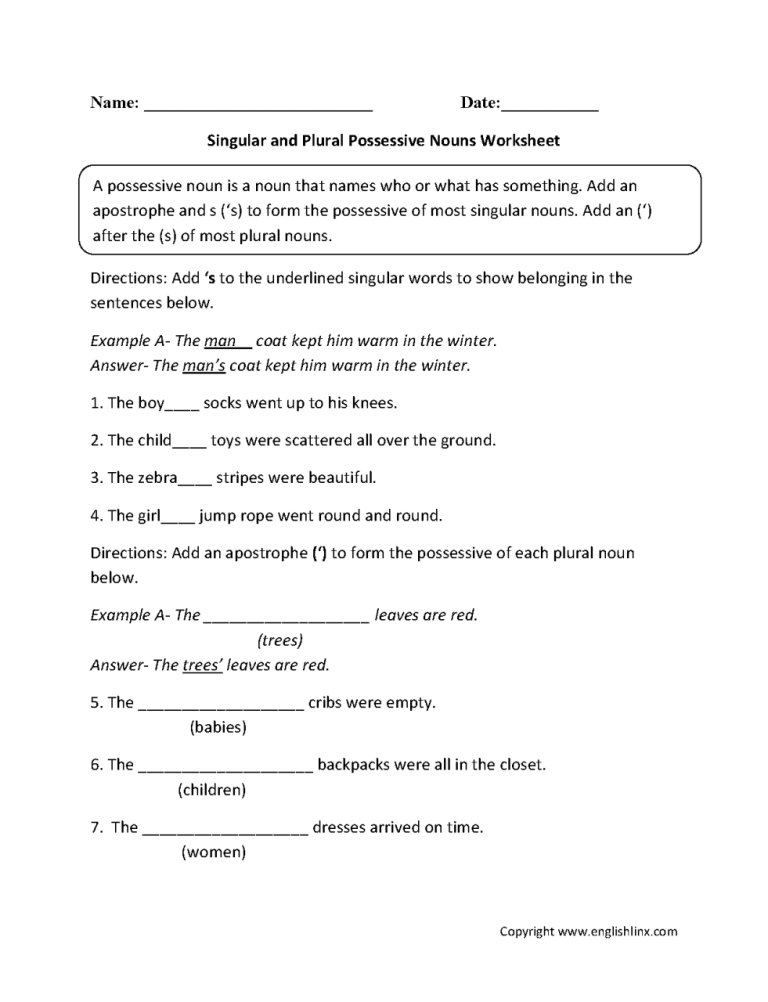 Possessive Nouns Worksheet 5th Grade