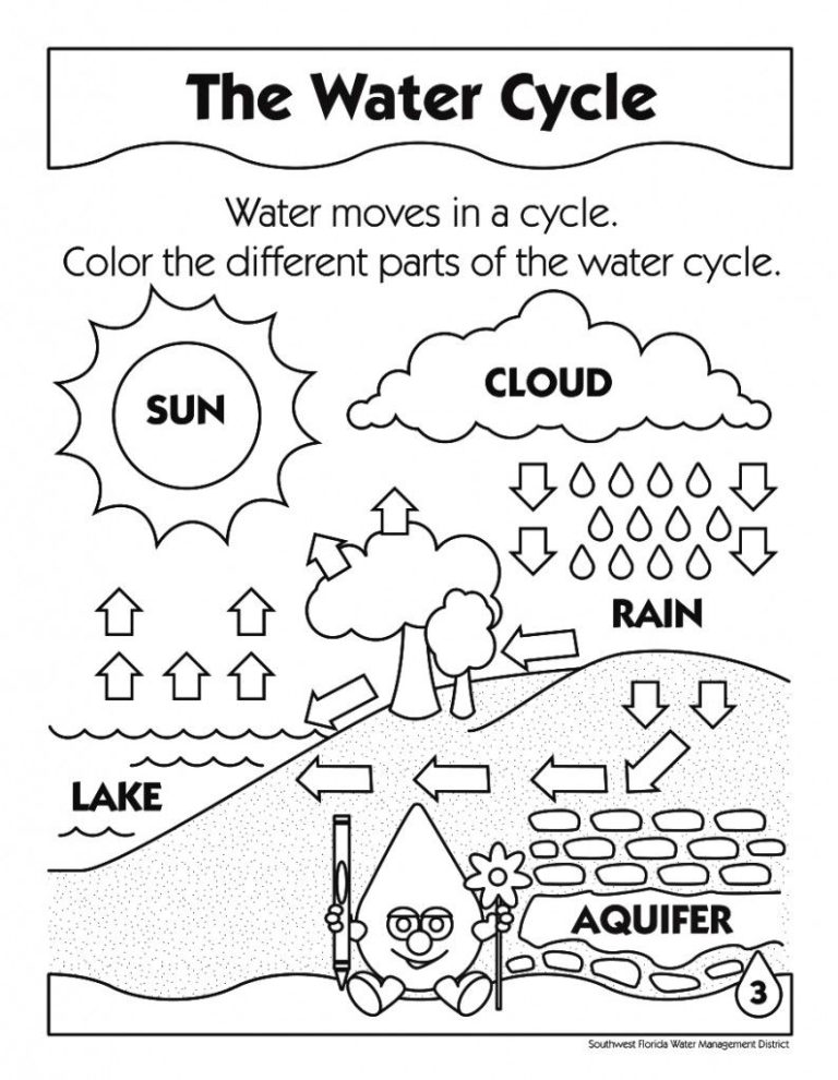 Water Cycle Worksheet For Kids