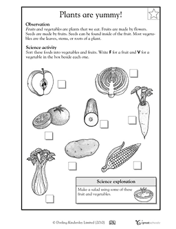 Science Worksheets For Grade 2 Plants