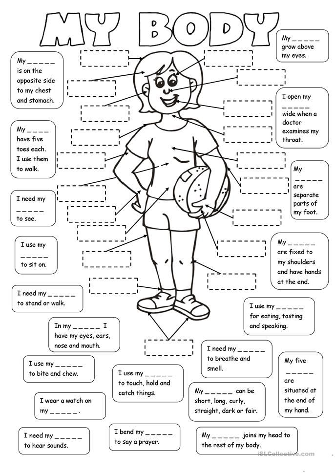 Body Worksheet