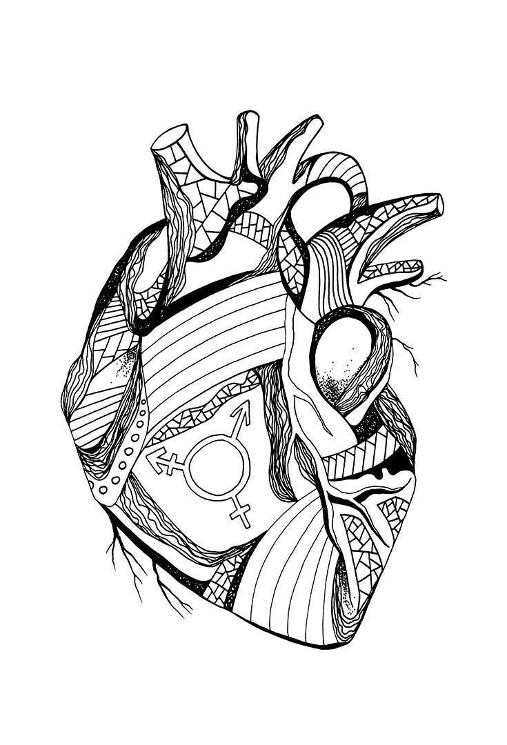 Anatomical Heart Coloring Sheet