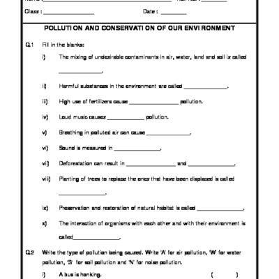 6th Grade Class 6 Science Worksheets