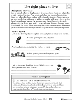 Animal Adaptations Worksheets 4th Grade Pdf