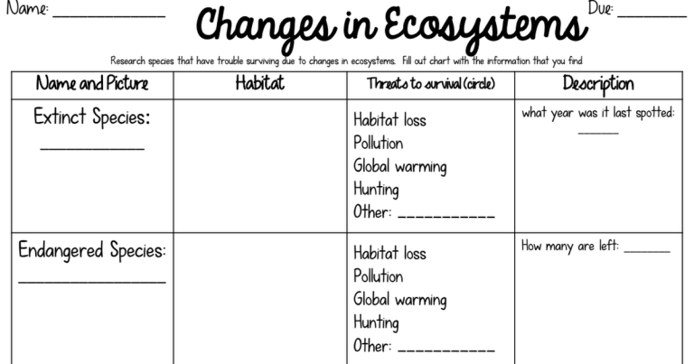 Ecosystem Worksheet Pdf