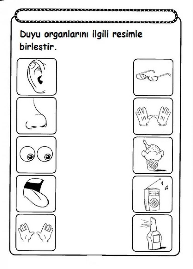 Five Senses Worksheets For First Grade