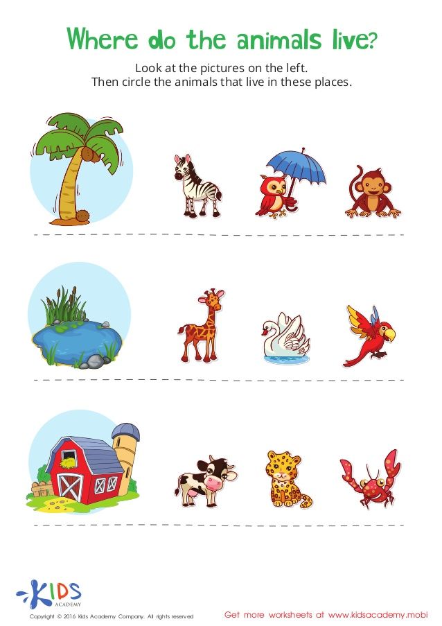 Live Worksheets For Kindergarten