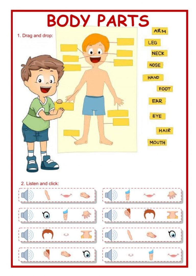 Live Worksheets Answers