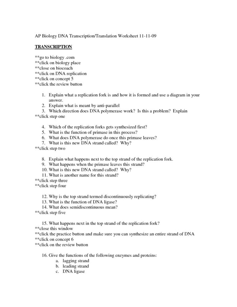 Transcription And Translation Worksheet Answer Key