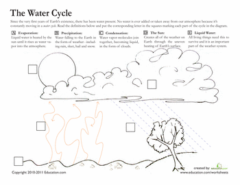 Water Cycle Worksheet Free