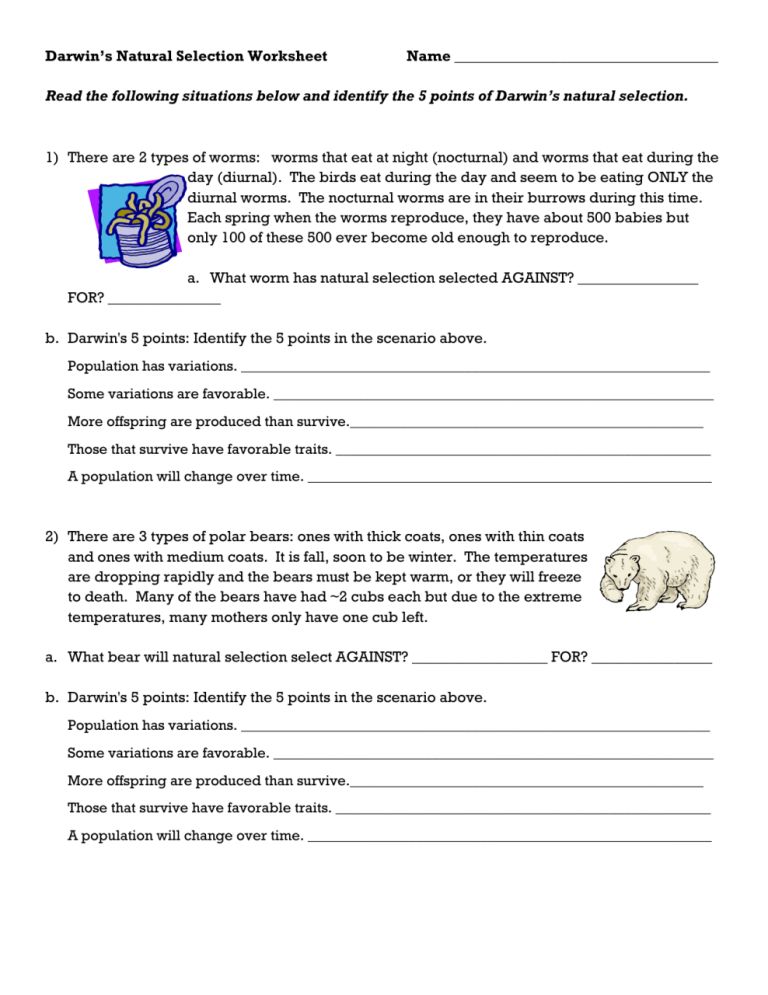 Types Of Natural Selection Worksheet