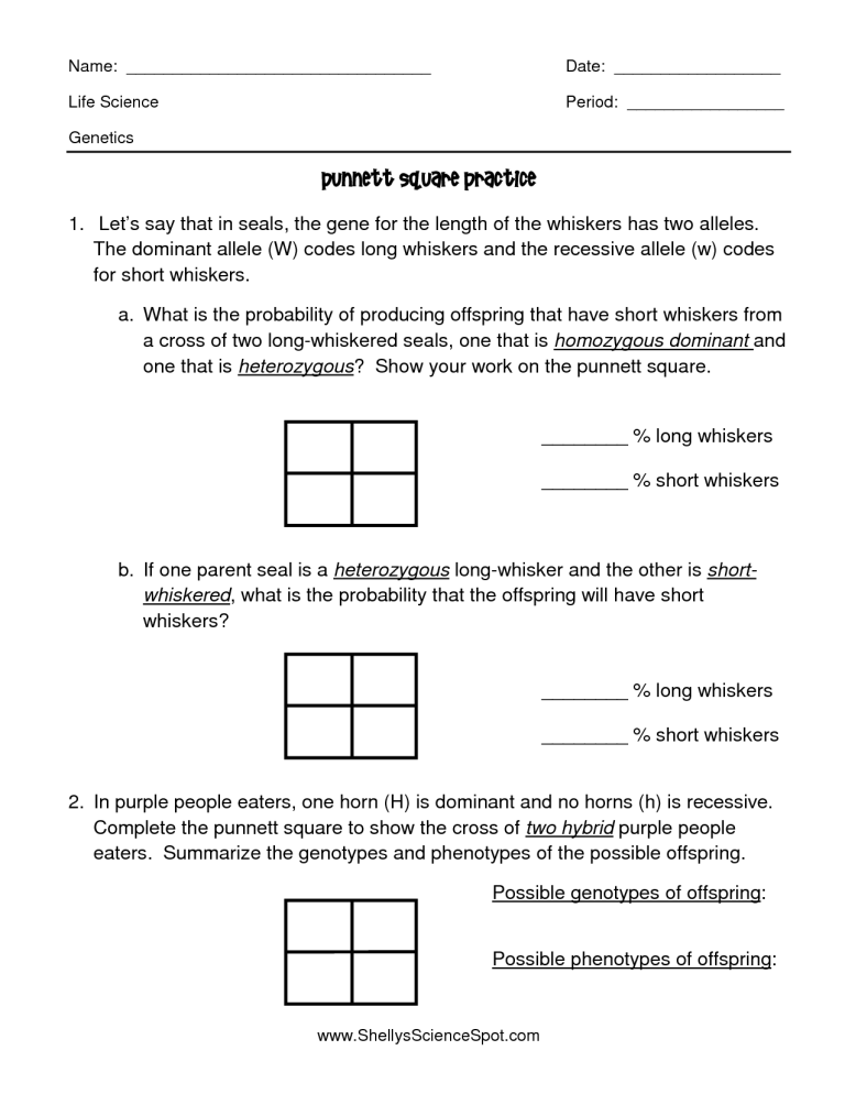 Answer Key Punnett Square Worksheet With Answers