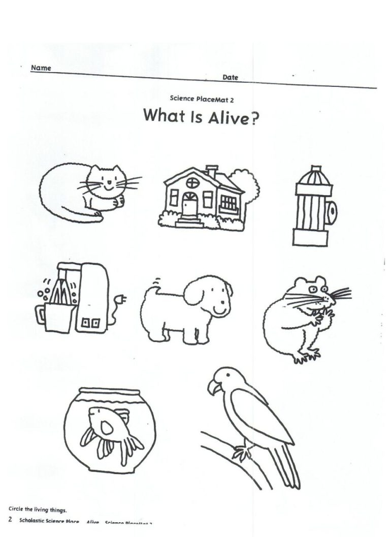 Living Things And Non Living Things Worksheet For Kinder