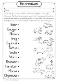 Animal Adaptations Worksheets